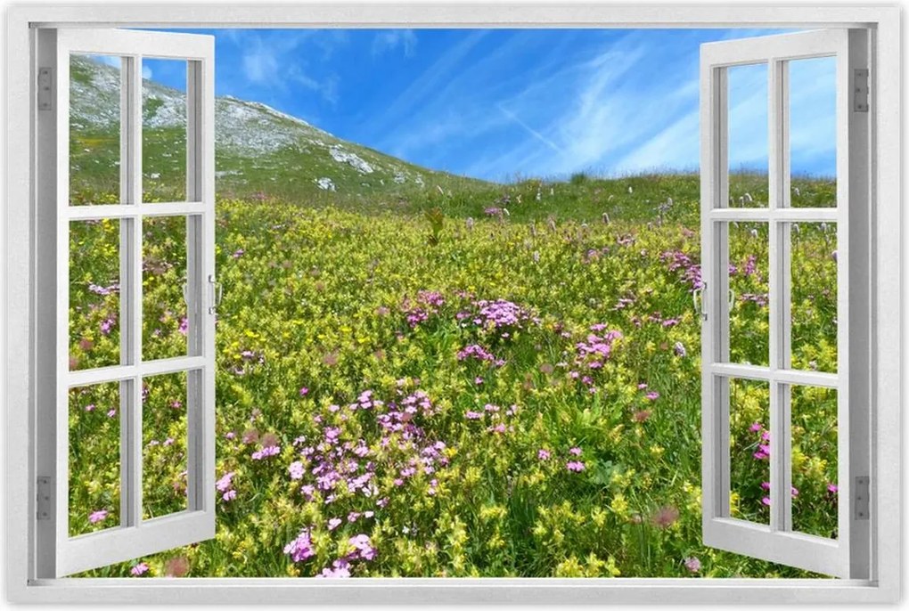 Poszterek 90x60 Alpesi rét