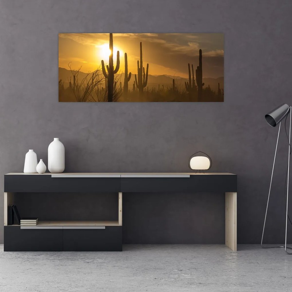 Kép - Saguaro kaktuszok (120x50 cm)