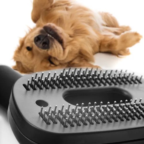 Concept VP5240n zsák nélküli porszívó 4A RADICALPet Expert, 800 W