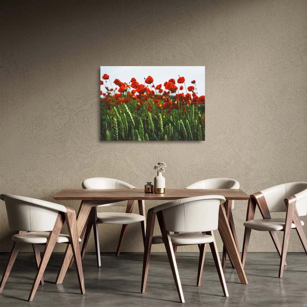 A pipacsok képe a szélben (üvegen) (70x50 cm)