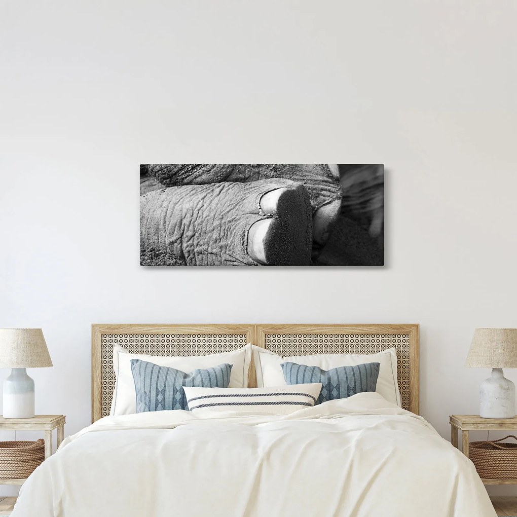 Kép - Elefánt láb (120x50 cm)