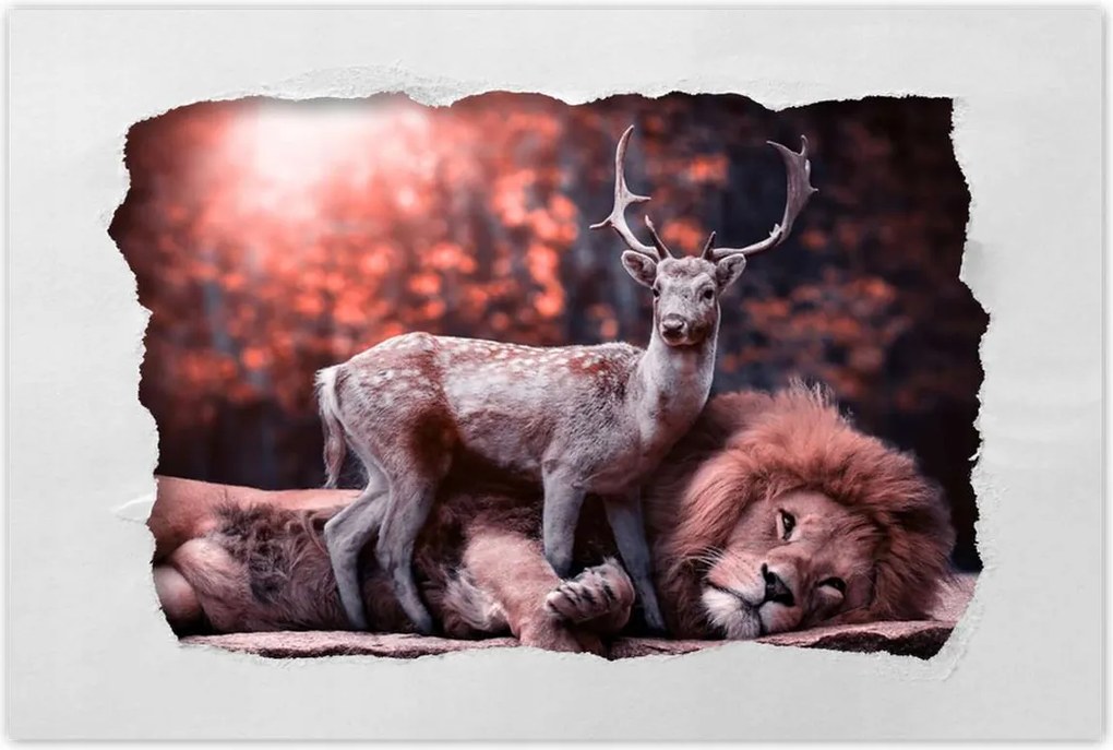 Poszterek 120x80 Szarvas felszarvazott