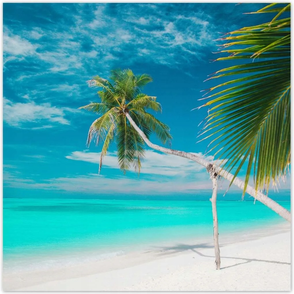 Poszterek 140x140 Tájkép Látvány