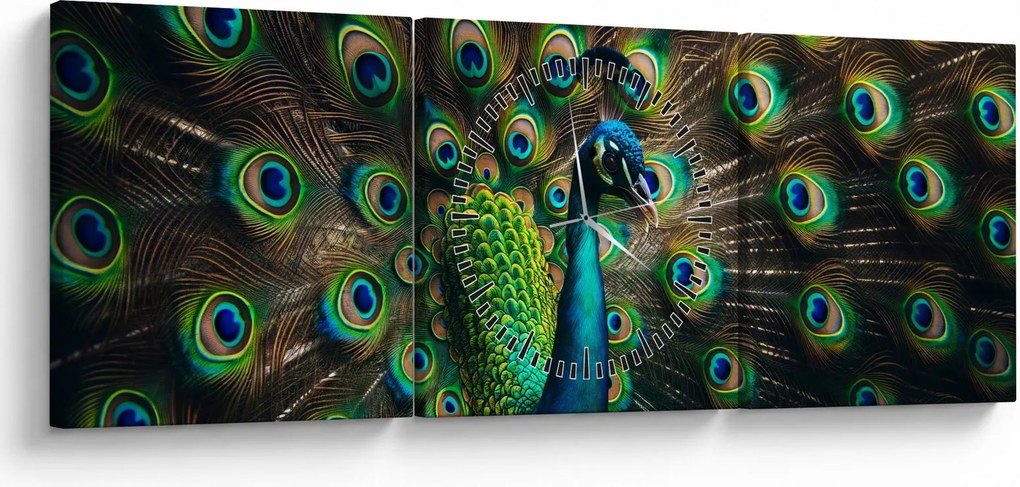 Kép – Pávatoll (órával) (90x30 cm)