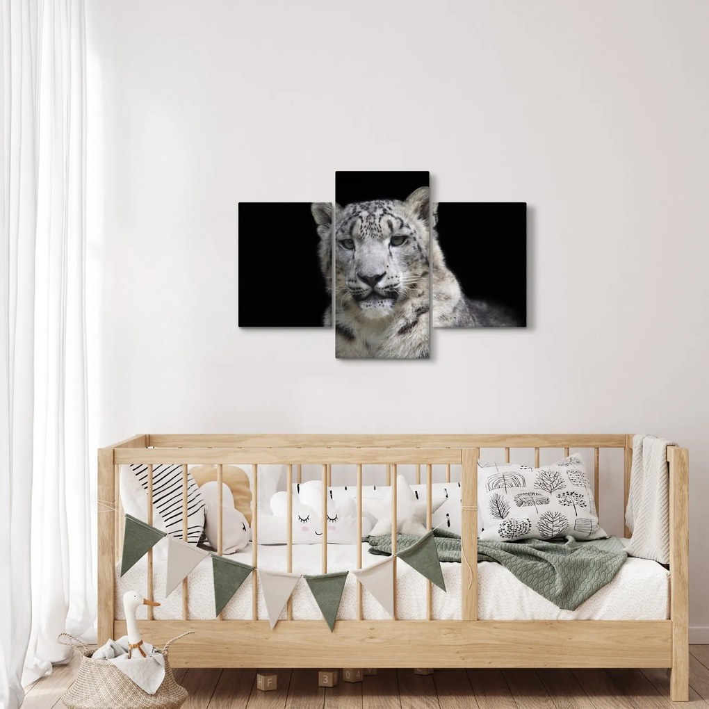 Kép - Snow Leopard (90x60 cm)