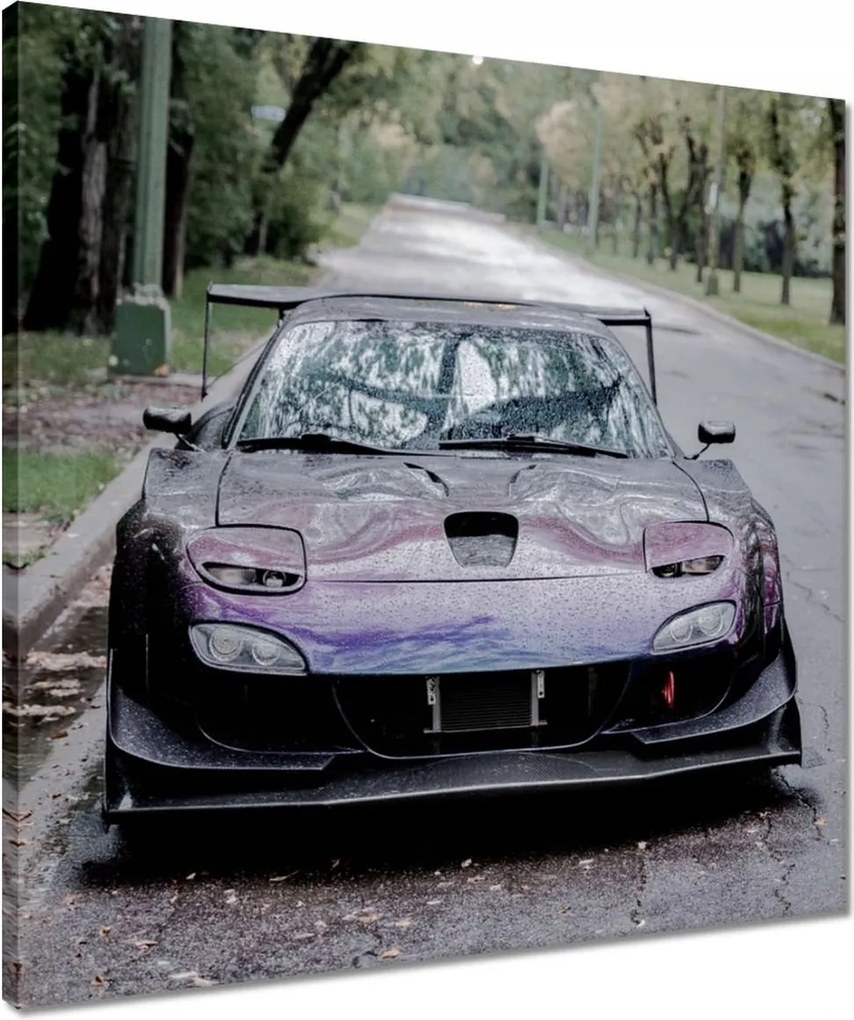 Vászonkép 50x50 Autó Fura Sport