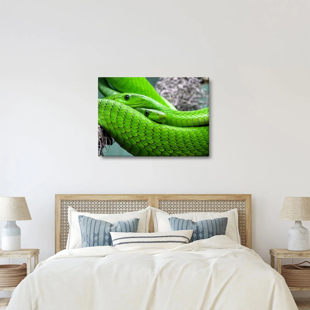 Zöld kígyók képe (70x50 cm)