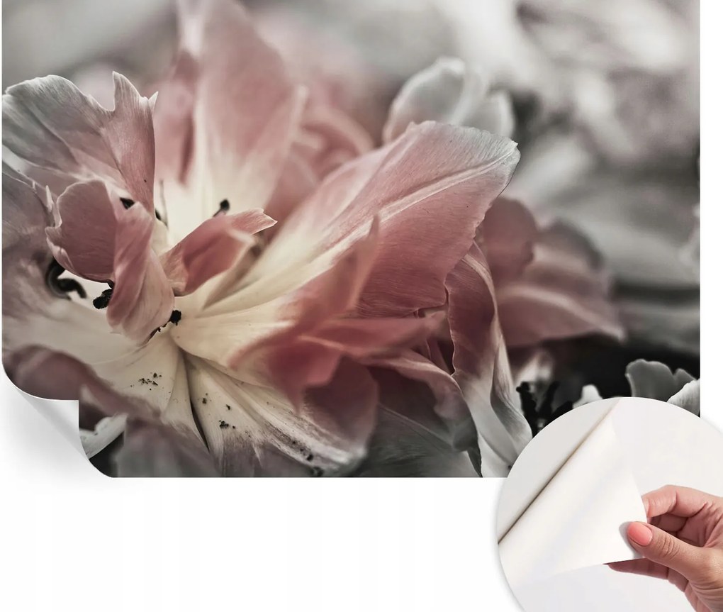 Öntapadós fali fotótapéta Hálószobába Pasztell virág 152x104 cm