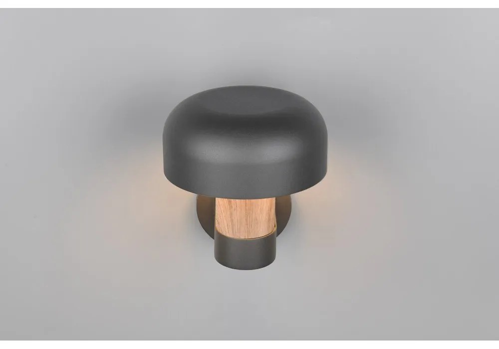 Fali kültéri lámpa (magasság 24,5 cm) Fraser – Trio