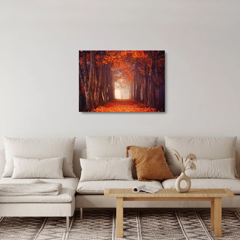 Kép - őszi erdő (üvegen) (70x50 cm)