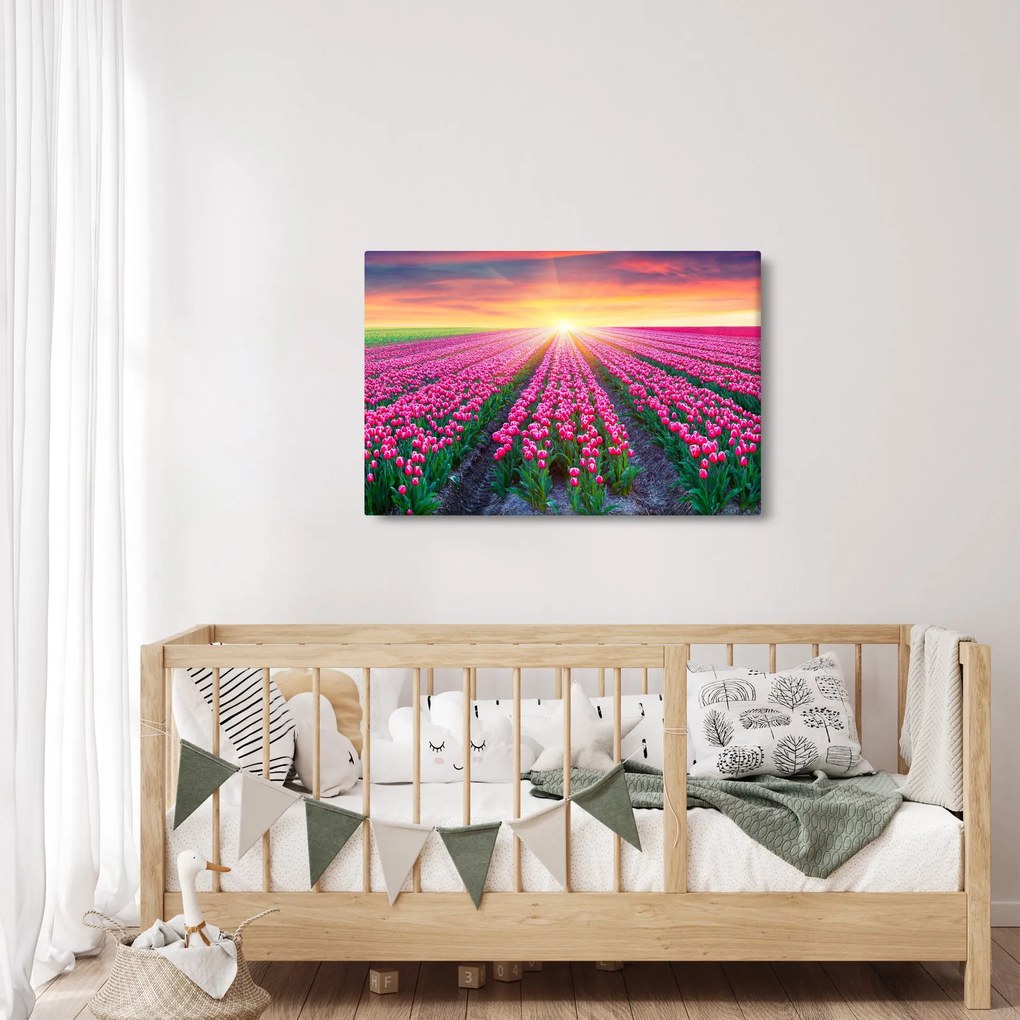 Tulipán mező és a nap képe (90x60 cm)