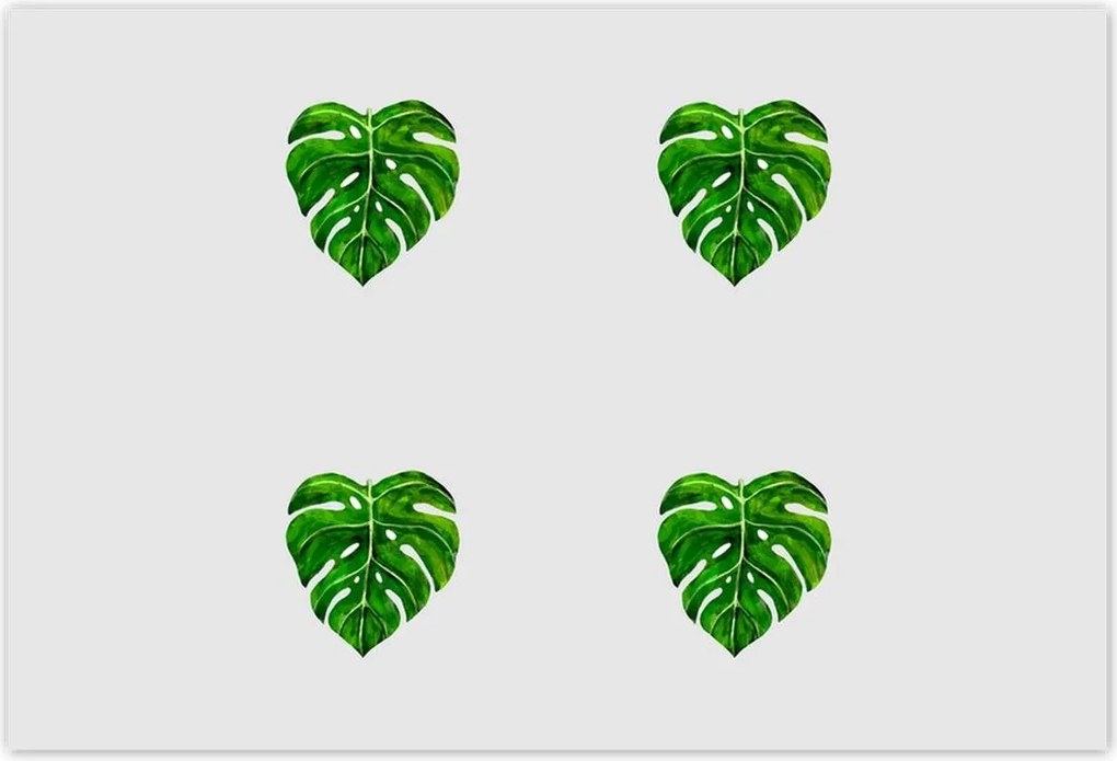 Poszterek 200x135 Monstera Lyukas levelek