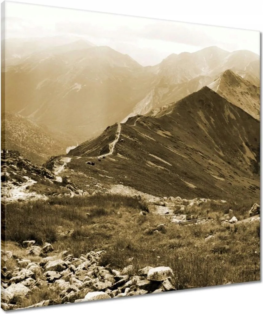 Vászonkép 60x60 Tátra Lengyel hegyek Kilátás