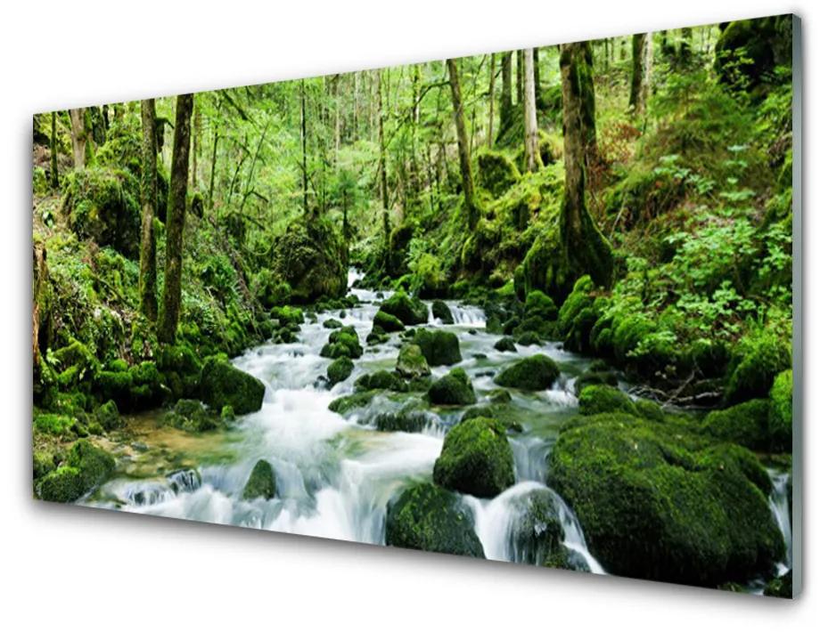 Akrilkép Forest Stream River Falls 140x70 cm