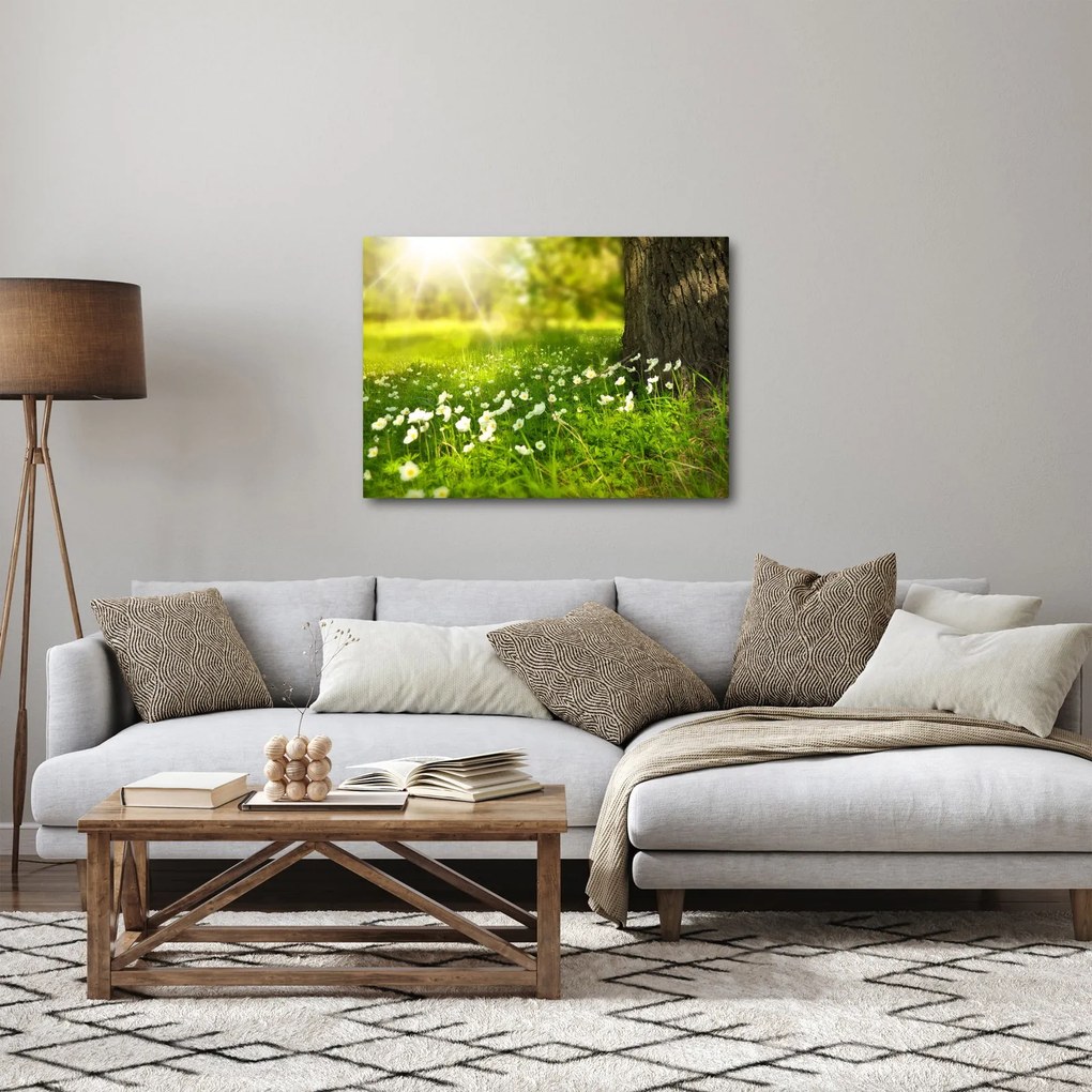 Tisztás és a virágok képe (70x50 cm)
