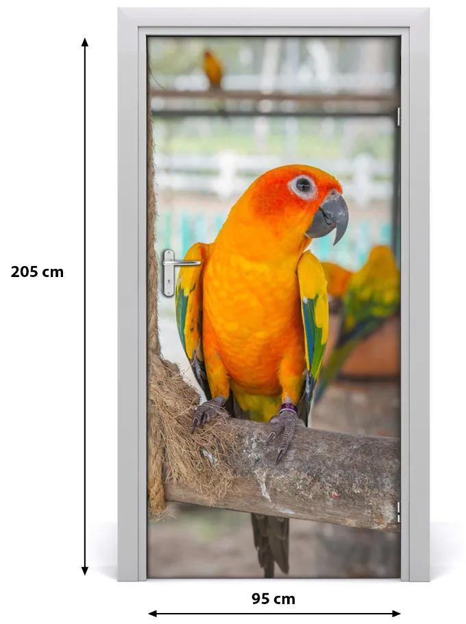 Poszter tapéta ajtóra Papagáj 95x205 cm