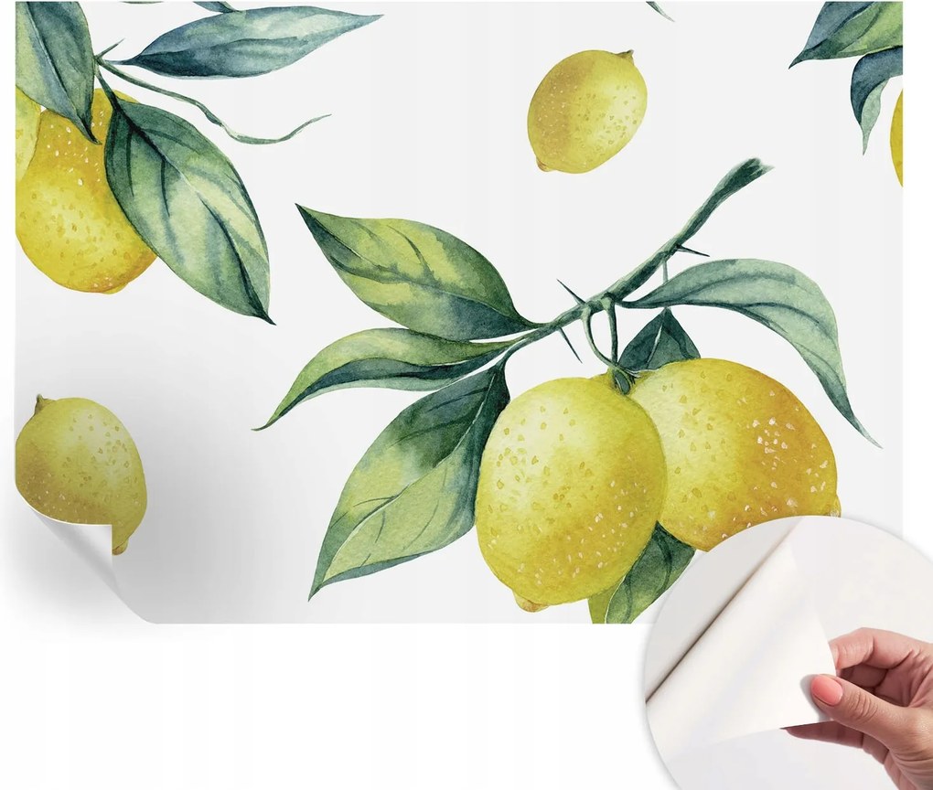 Öntapadós fotótapéta a konyhába Mosható Citrom motívum 312x219 cm