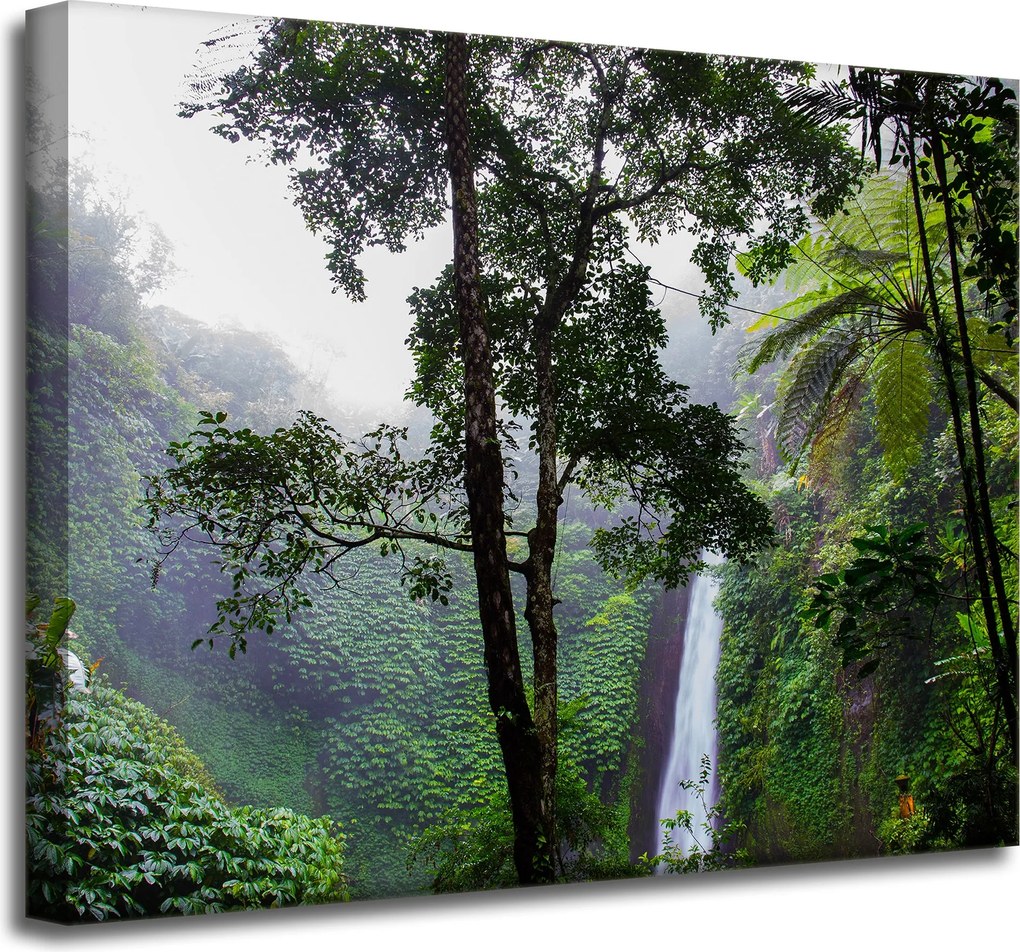 Vászonkép Természet Trópusi erdő 50x40 cm