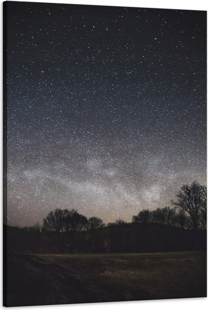 Vászonkép Kozmosz Csillagos égbolt 60x90