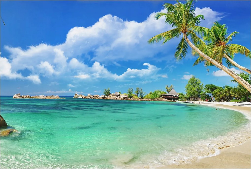 Divatos Flizelin Tapéta Ragasztóval Fali 3D Trópusi paradicsom 104x70 Ragasztó