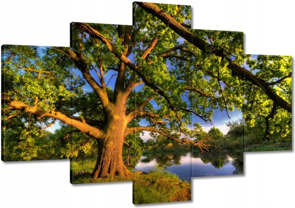 Vászonkép 120x80 Tölgy a croissant-ban Nyugat