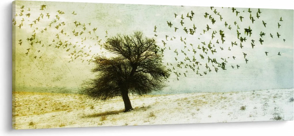 Kép - Festett madárállomány (120x50 cm)