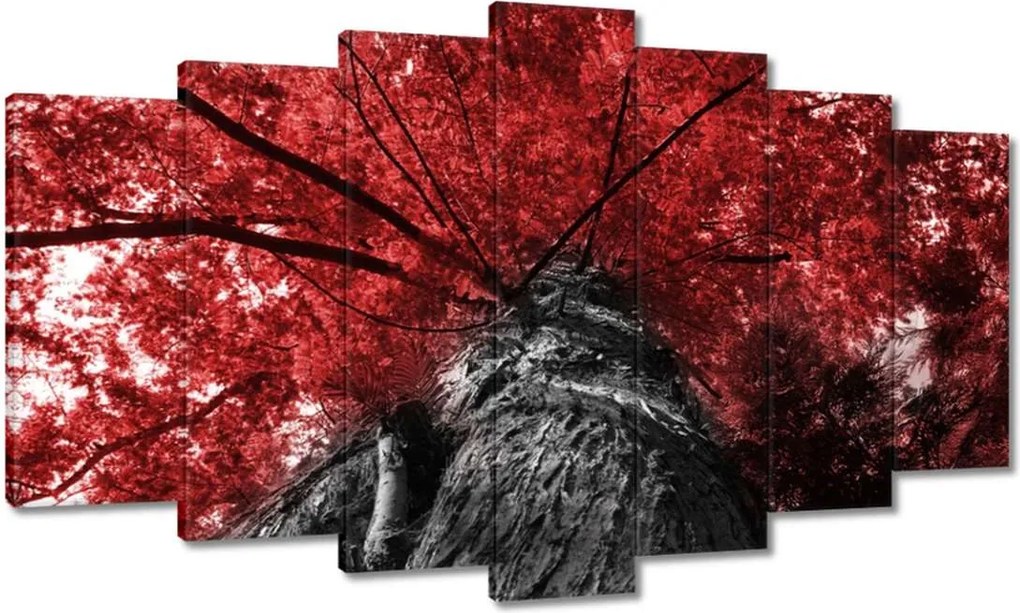 Vászonkép 140x80 mamutfenyő Magas fa