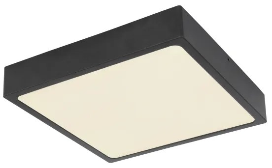 Globo 12369-22 - LED Mennyezeti lámpa ECHO LED/22W/230V