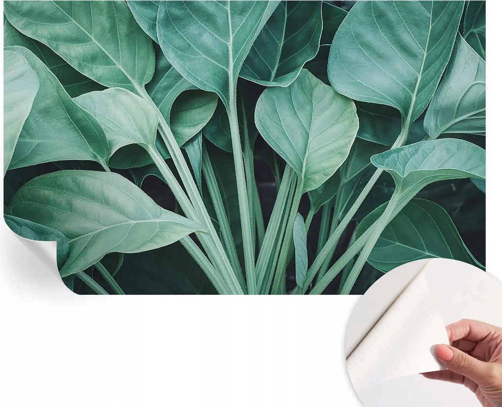 Öntapadós fali fotótapéta Hálószobába Zöld természet 416x254 cm