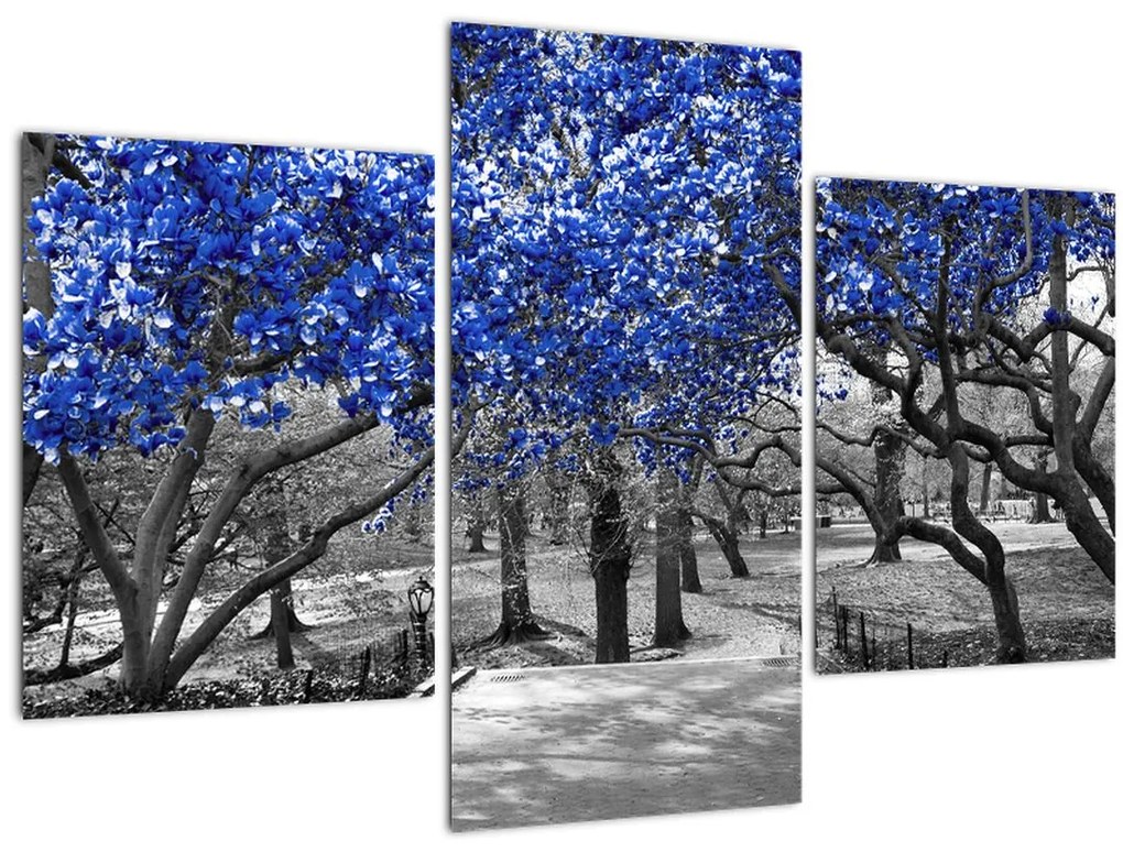 Kép - Kék fák, Central Park, New York (90x60 cm)