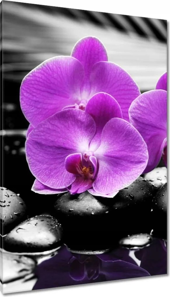 Vászonkép 80x120 Lila leanderek