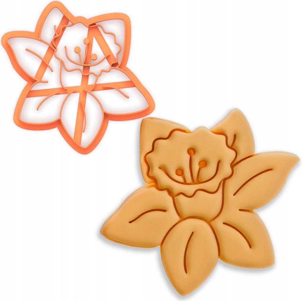 Húsvéti Kekszlyukasztó Nárcisz Húsvét