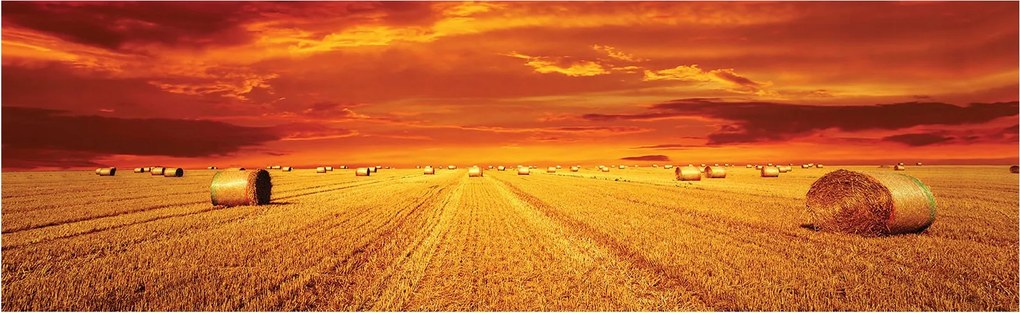 Fotótapéta flizelina Naplemente a búzamező felett tájkép 832x254 +ragasztó