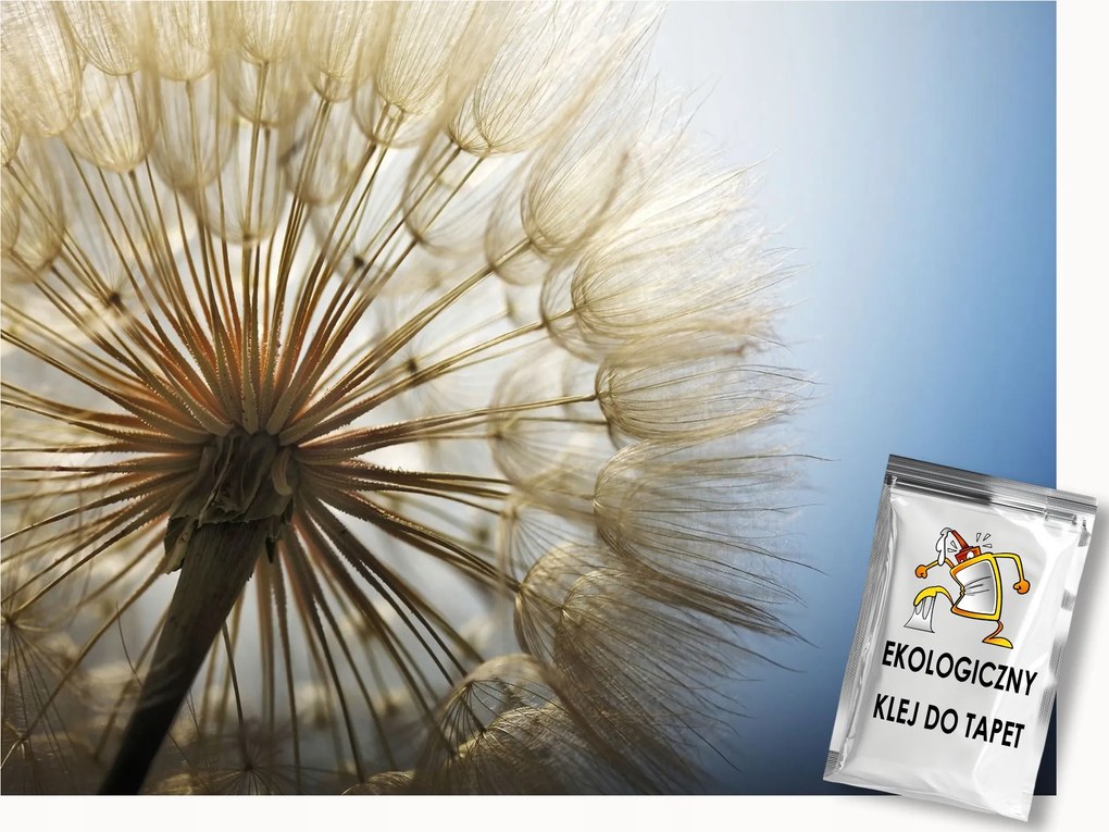 Fotótapéta Flizelina Természet Virágok Pitypang fotó 200x140 ragasztó