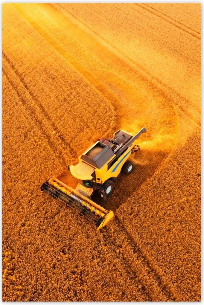 Poszterek 60x90 Kilátás felülről a kombájnra