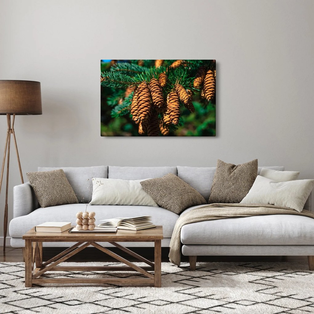 Fenyőtobozok képe (90x60 cm)