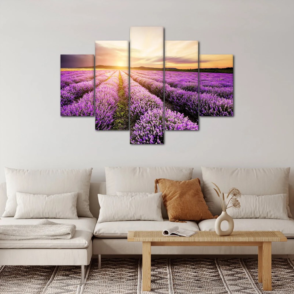 Kép - Napfelkelte levendulamezőn (150x105 cm)