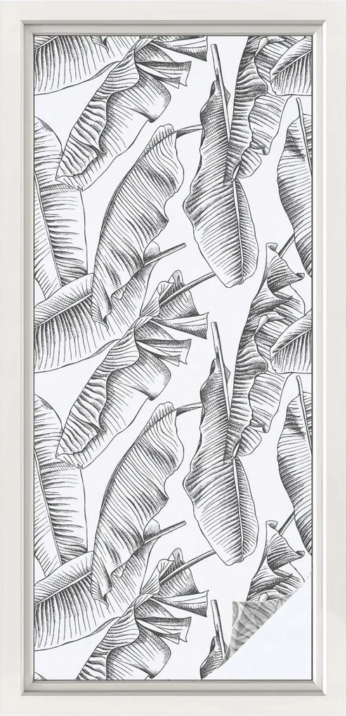 Ablakfólia öntapadós adatvédelem Trópusi levelek 50x116