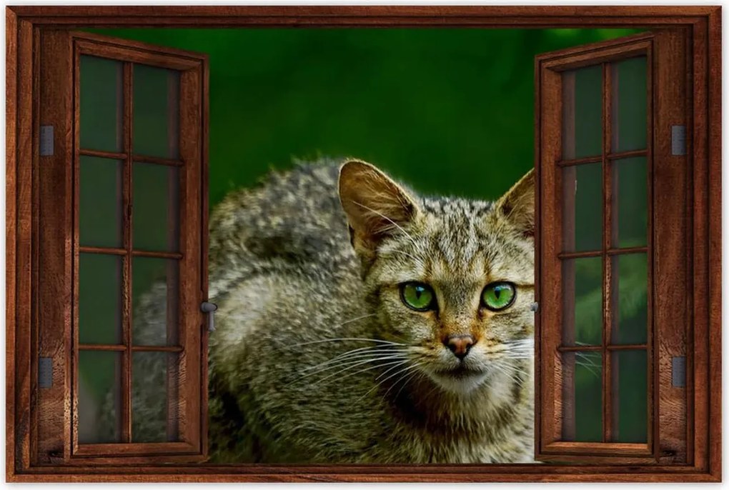 Poszterek 120x80 Cica Cicák Macskák