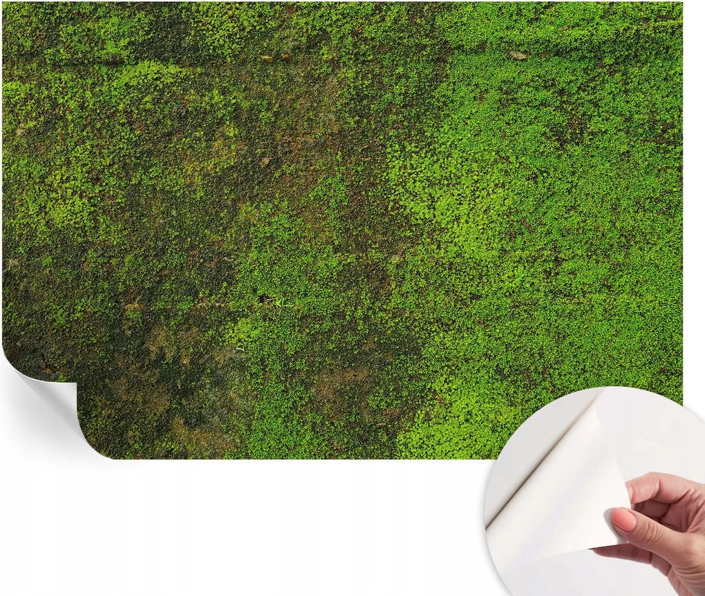 Öntapadós Dekoratív Fotótapéta Hálószobába Zöld szőnyeg 104x70 cm