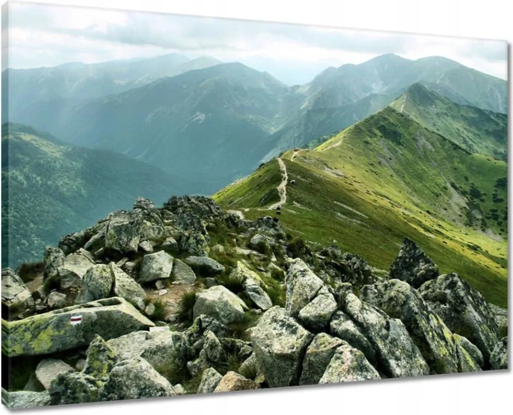 Vászonkép 70x50 Tátra csúcs