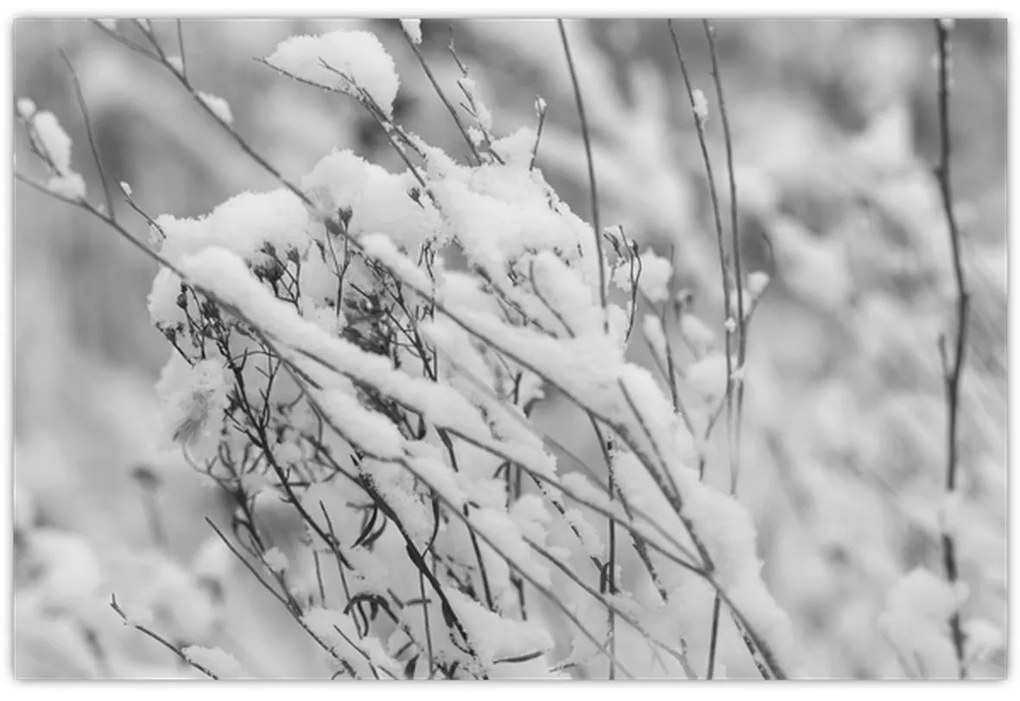 Kép - Havas ágak (90x60 cm)
