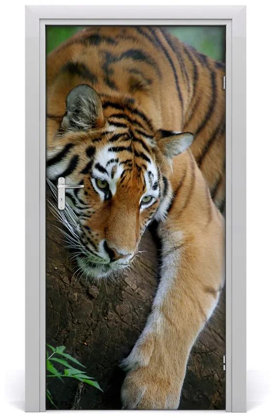 Ajtó méretű poszter Tiger a fán 95x205 cm