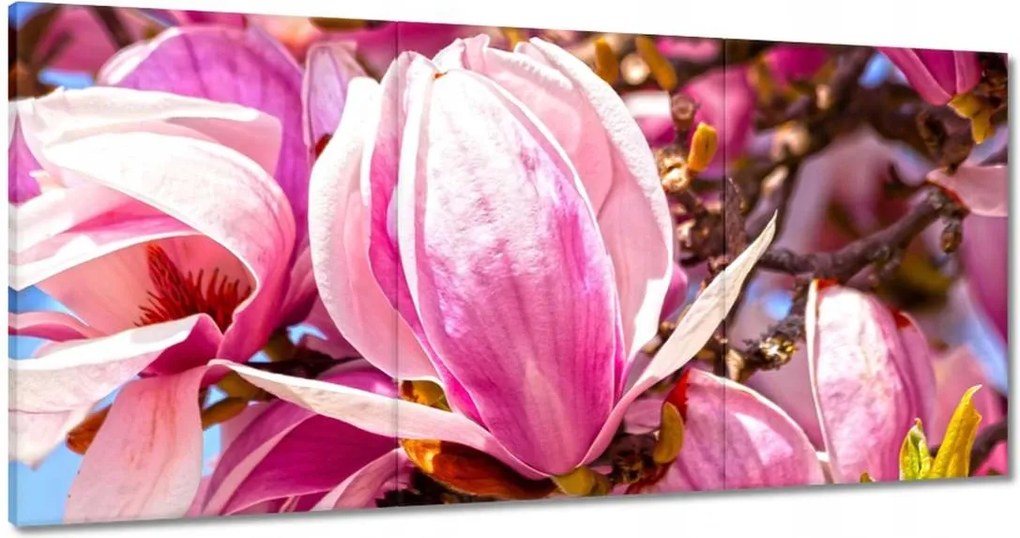 Vászonkép 120x60 Virágok