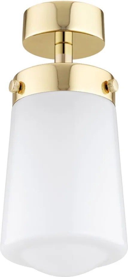 Argon PASADENA 8005 Süllyesztett mennyezeti lámpa 1x15W/E27 IP44