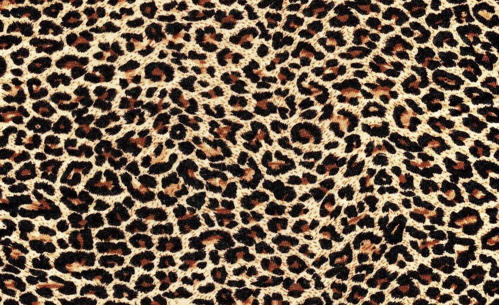 Fotótapéta - Leopárd szőr (152,5x104 cm)