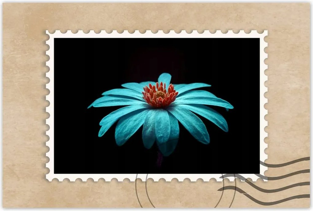 Poszter 60x40 Türkiz virág