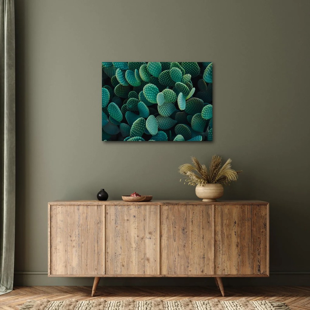 Kép - Opuntia (70x50 cm)