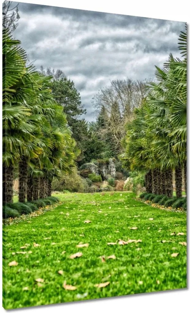 Festmények 70x100 Tájkép