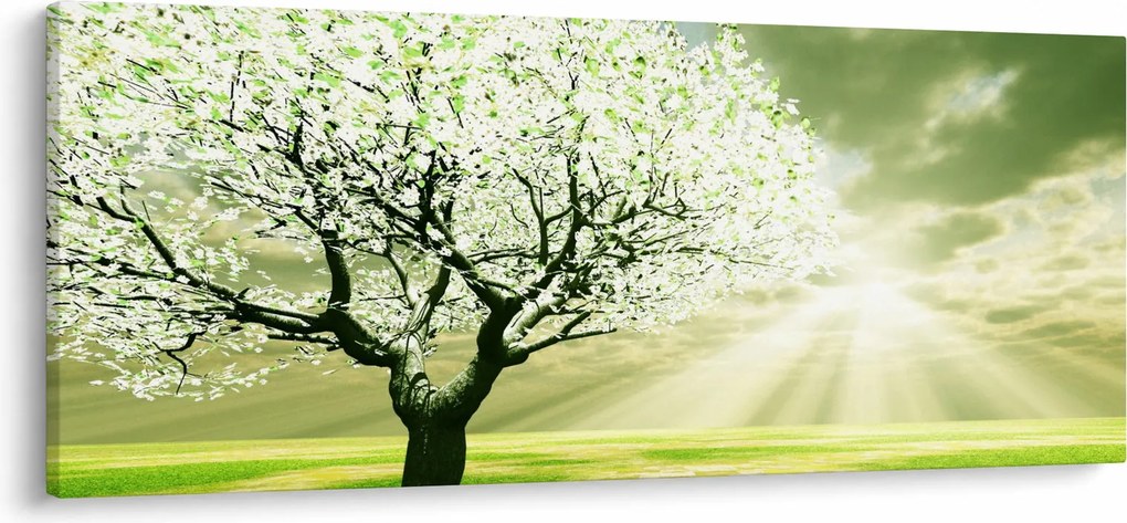 Fa képe a réten (120x50 cm)